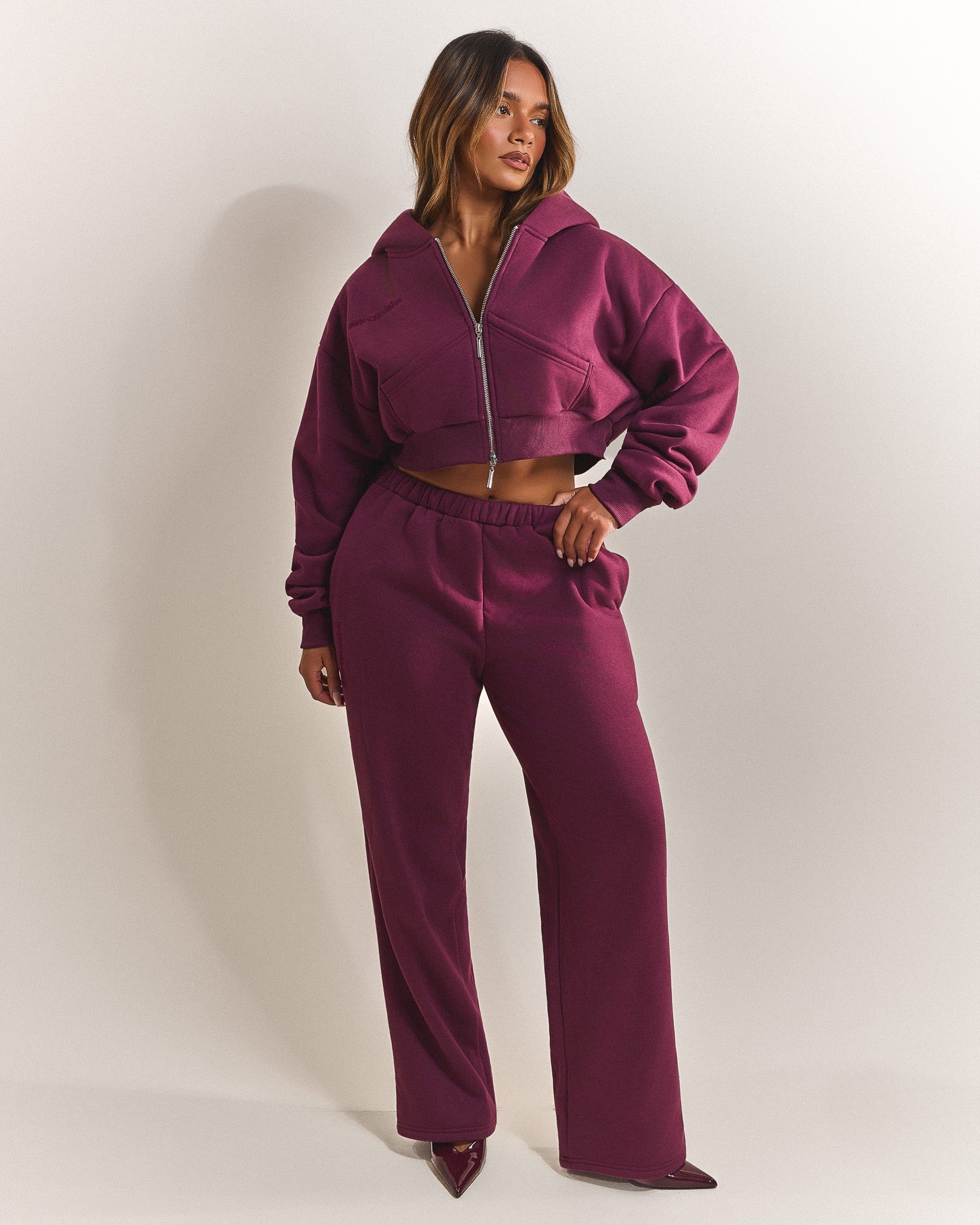 The Classics Cropped Zip Hoodie in Plum